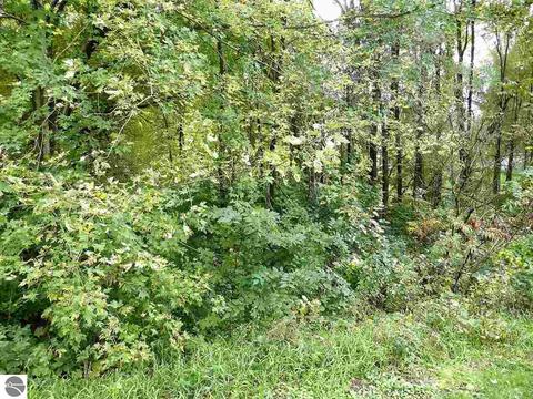 16981 Second St, Copemish, MI 49625 photo 27