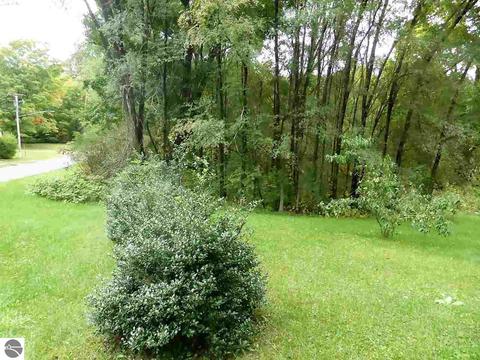 16981 Second St, Copemish, MI 49625 photo 6