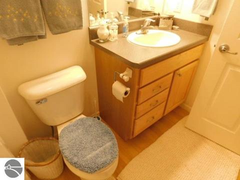 4749 S Mnr, Cedar, MI 49621 photo 22