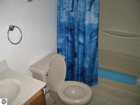 1547 E Countyline Rd, Hale, MI 48739 photo 13