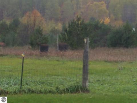 9847 N Sherman Rd, Frederic, MI 49733 photo 31