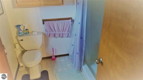 2181 N Fire Rd, Twining, MI 48766 photo 18
