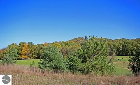 755 E Shetland Trl, Cedar, MI 49621 photo 64