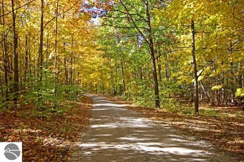 755 E Shetland Trl, Cedar, MI 49621 photo 24