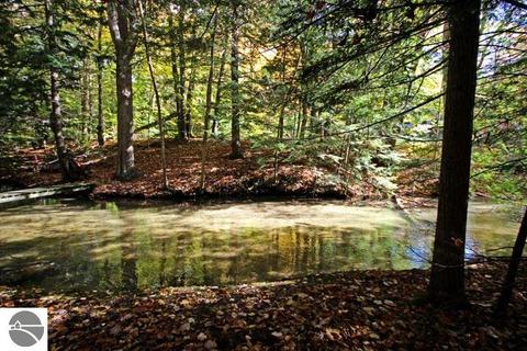 755 E Shetland Trl, Cedar, MI 49621 photo 61