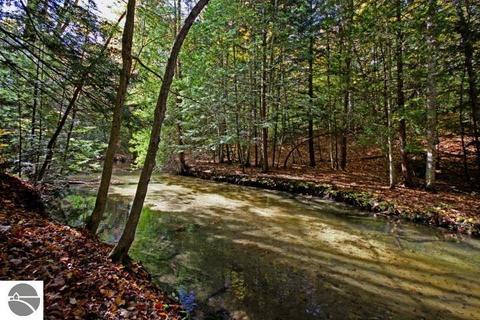 755 E Shetland Trl, Cedar, MI 49621 photo 57