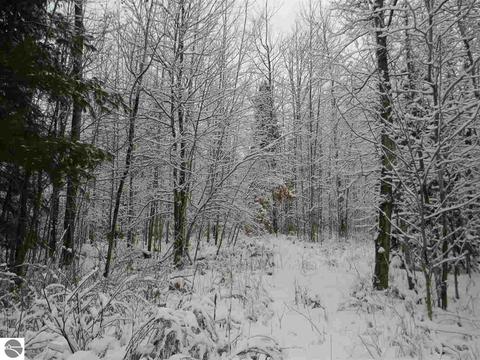 3015 Reilly Rd, Lupton, MI 48635 photo 5
