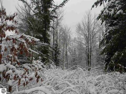 3015 Reilly Rd, Lupton, MI 48635 photo 29