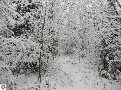 3015 Reilly Rd, Lupton, MI 48635 photo 30