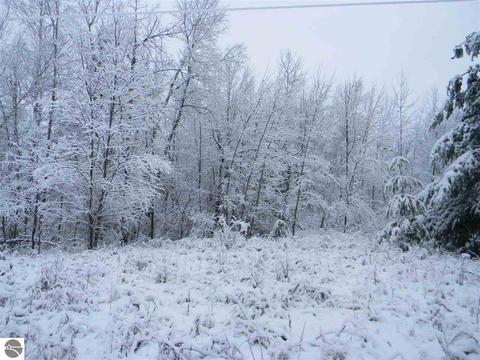 3015 Reilly Rd, Lupton, MI 48635 photo 6