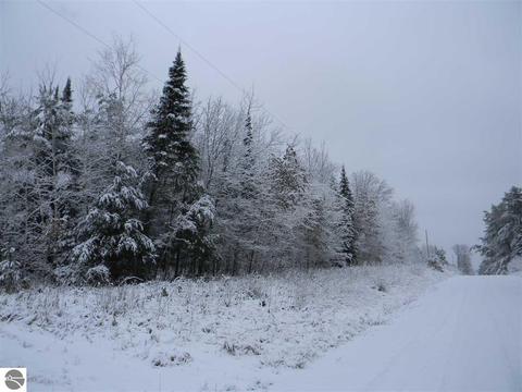 3015 Reilly Rd, Lupton, MI 48635 photo 11