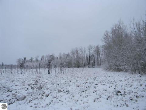 3015 Reilly Rd, Lupton, MI 48635 photo 13