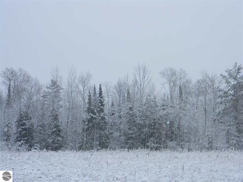 3015 Reilly Rd, Lupton, MI 48635 photo 20