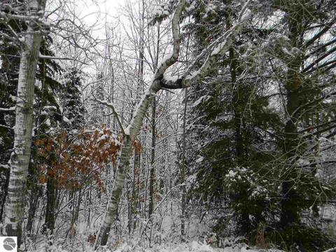 3015 Reilly Rd, Lupton, MI 48635 photo 7