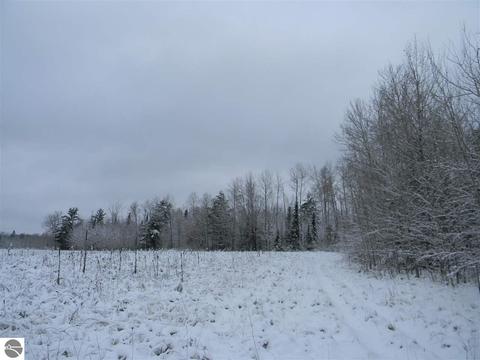 3015 Reilly Rd, Lupton, MI 48635 photo 26