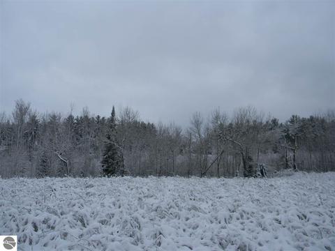 3015 Reilly Rd, Lupton, MI 48635 photo 28