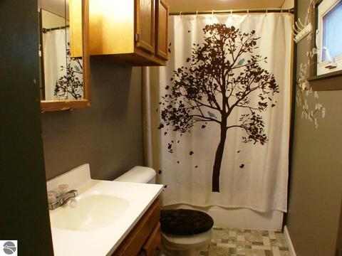 213 W Newark St, Ithaca, MI 48847 photo 10