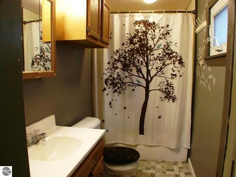 213 W Newark St, Ithaca, MI 48847 photo 9