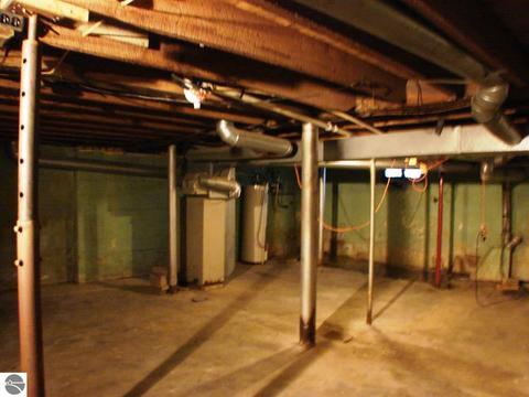 213 W Newark St, Ithaca, MI 48847 photo 19