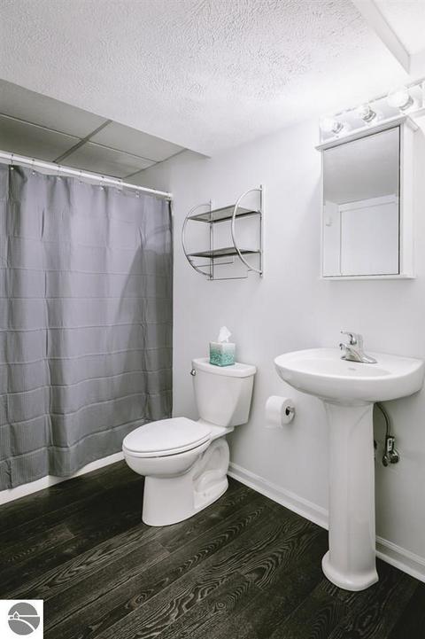 1571 Pine Tree Rd, Grawn, MI 49637 photo 5