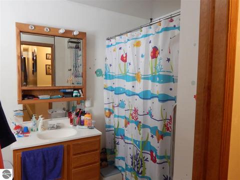 9264 E 18 Rd, Manton, MI 49663 photo 28
