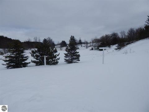 9264 E 18 Rd, Manton, MI 49663 photo 31