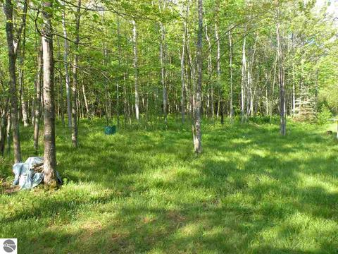 4141 Pineway Dr, Gladwin, MI 48624 photo 12