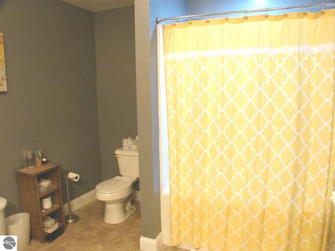 4580 E Fillmore Rd, Ithaca, MI 48847 photo 38