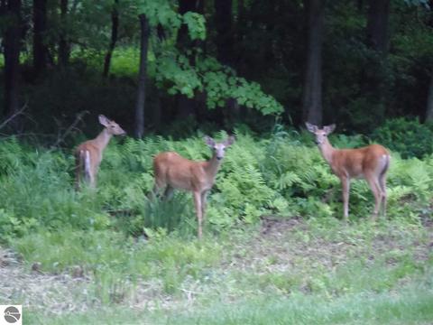 5833 Vera Ln, Au Gres, MI 48703 photo 7