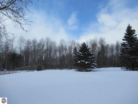 273 Maple, Tustin, MI 49688 photo 6