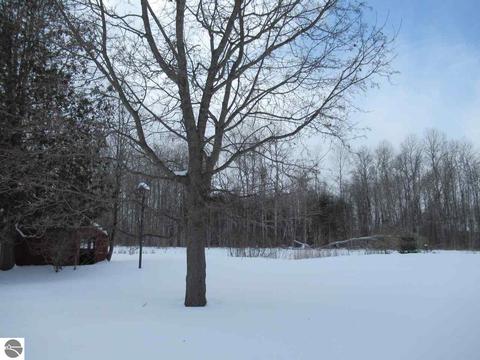 273 Maple, Tustin, MI 49688 photo 5