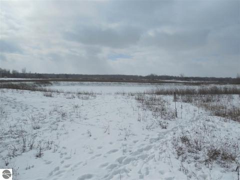 8644 E Baseline Rd, Mount Pleasant, MI 48858 photo 22