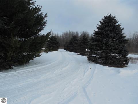 8644 E Baseline Rd, Mount Pleasant, MI 48858 photo 19