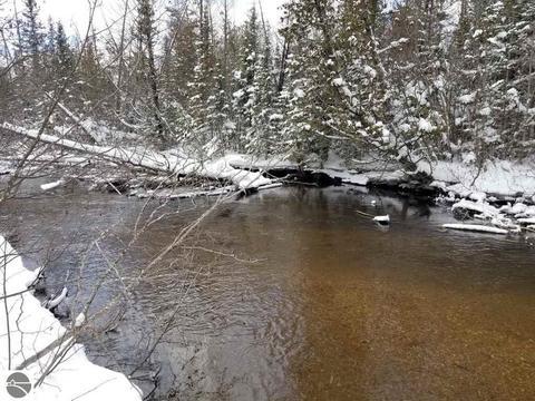 4304 Martin Dr, Frederic, MI 49733 photo 53