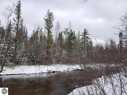 4304 Martin Dr, Frederic, MI 49733 photo 54