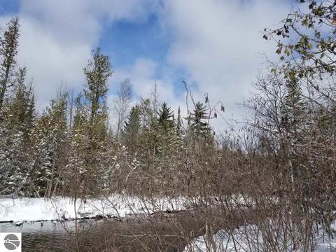 4304 Martin Dr, Frederic, MI 49733 photo 59