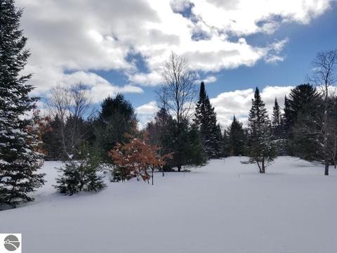 4304 Martin Dr, Frederic, MI 49733 photo 62