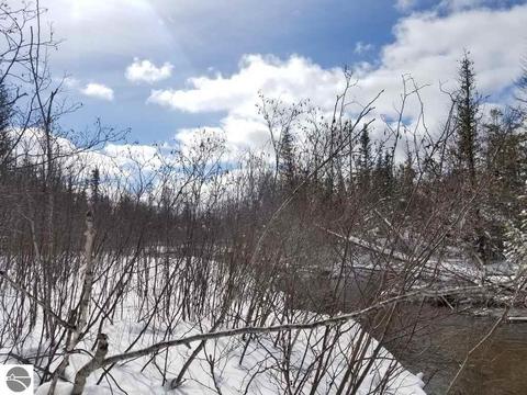 4304 Martin Dr, Frederic, MI 49733 photo 58