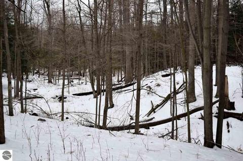 475 E Wing Rd, Mount Pleasant, MI 48858 photo 39