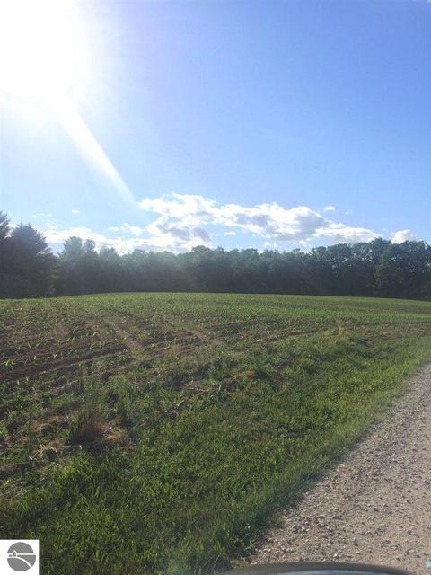 475 E Wing Rd, Mount Pleasant, MI 48858 photo 45