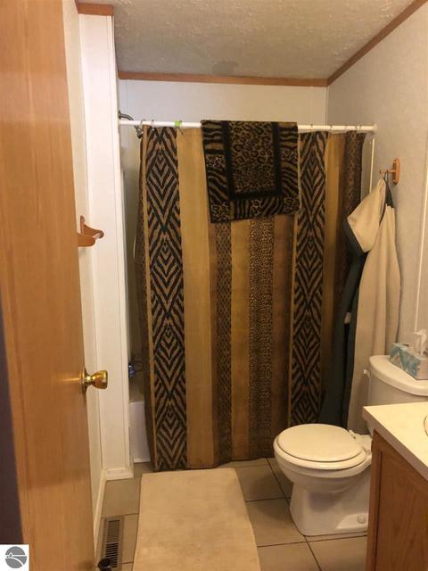9059 E River Rd, Mount Pleasant, MI 48858 photo 10