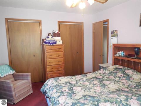1507 N Mcclelland Rd, Ithaca, MI 48847 photo 20