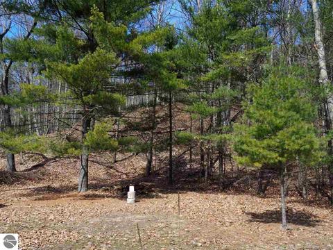 6876 Deadstream Rd, Honor, MI 49640 photo 19