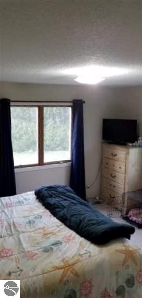 303 S Olson Rd, Sumner, MI 48889 photo 16