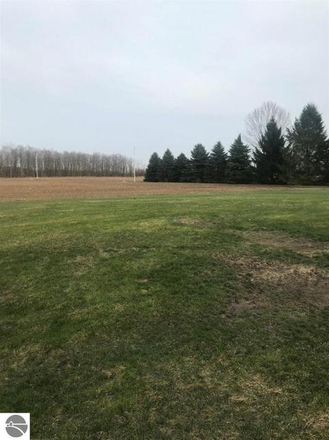 303 S Olson Rd, Sumner, MI 48889 photo 22