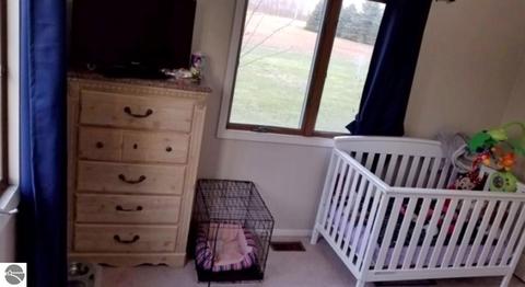 303 S Olson Rd, Sumner, MI 48889 photo 12