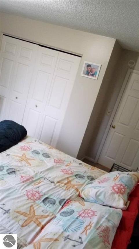 303 S Olson Rd, Sumner, MI 48889 photo 17
