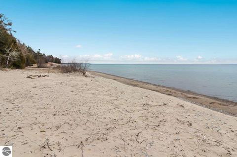 7369 White Pine Dr, Ellsworth, MI 49729 photo 45