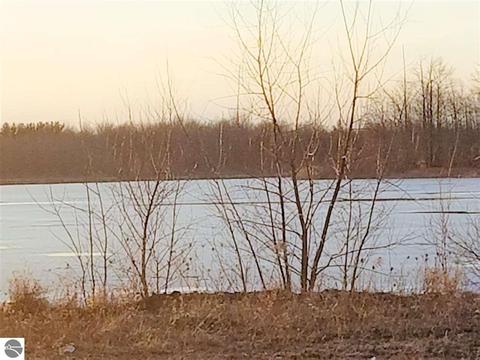 4612 S Wise Rd, Shepherd, MI 48883 photo 4