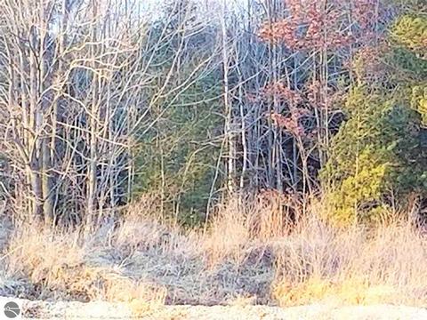 4612 S Wise Rd, Shepherd, MI 48883 photo 6